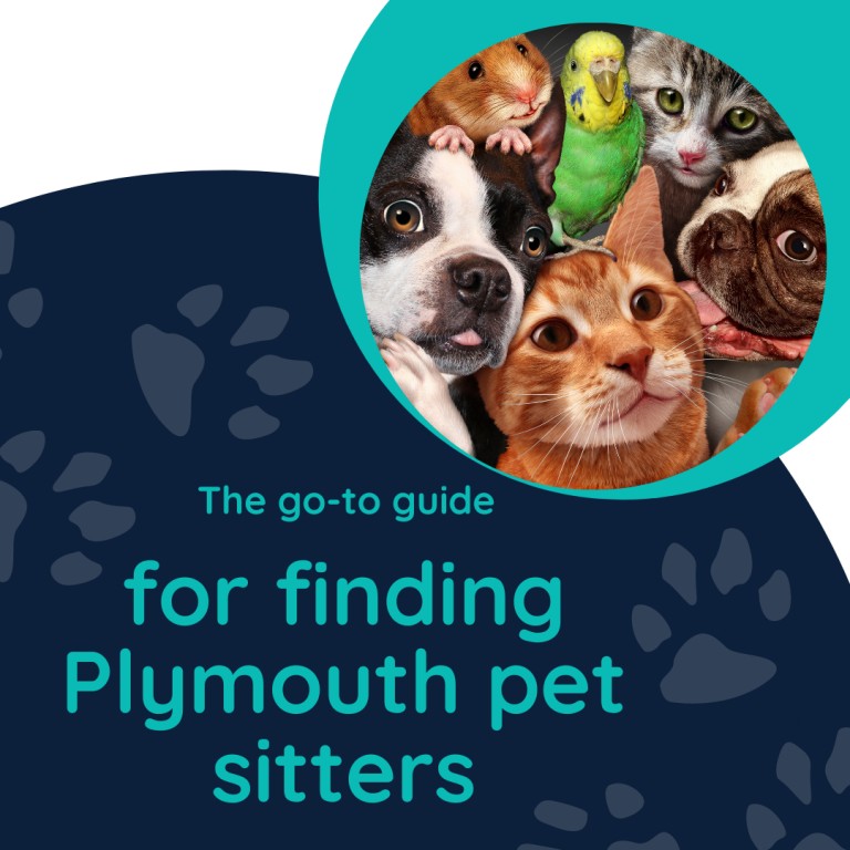 The go-to guide for finding Plymouth pet sitters 